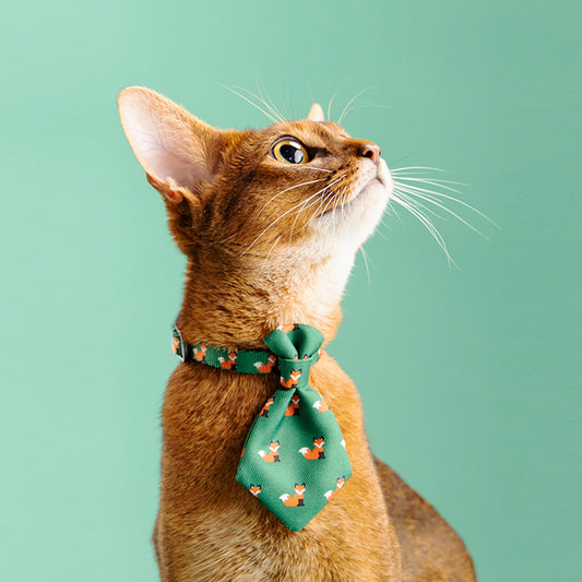 Collar Dog Gentleman Tie Accessories Adjustable Pet Products